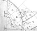 Road from Blandford, 1902 map