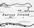 Furzey Island, 1890 map