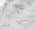 Round Island and Long Island, 1849 chart