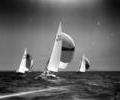 5.5 dinghy racing