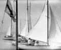 Unidentified sailing dinghies