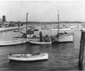 Poole fishing fleet
