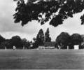 Cricket, Poole Park