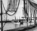 Fishing nets, Fisherman's Dock