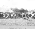 Poole Park carnival,1907.