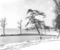 Poole Park Snow.