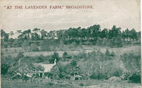 At The Lavender Farm Broadstone.jpg