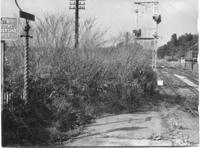 Broadstone 1968.jpg