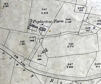 Poplar Tree Farm.jpg