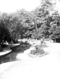 RNo. 5.jpg
