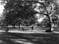 Untitled-208.jpg